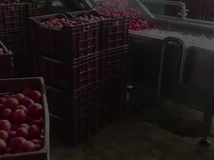 Ligne de production pour la transformation de jus de fruits condensés ou de pâte de tomate